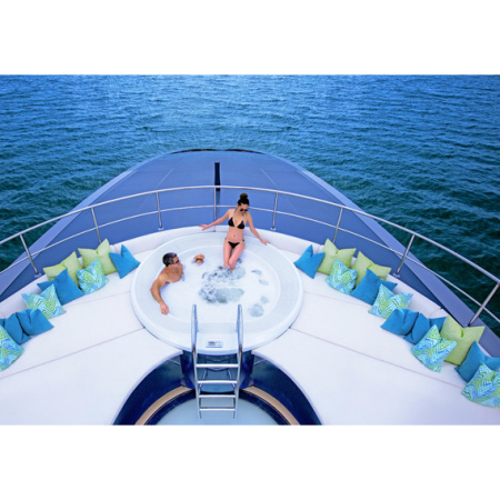 Переливной спа бассейн Delfi Spa Opera